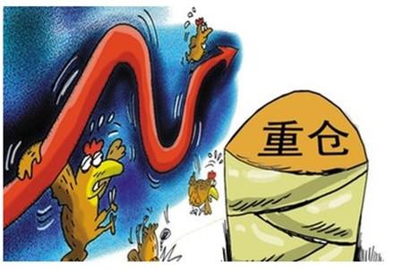 外汇交易仓位管理：轻仓与重仓的平衡之道